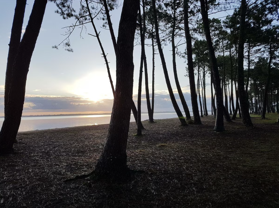 Maison-Biscarrosse-REF7415456